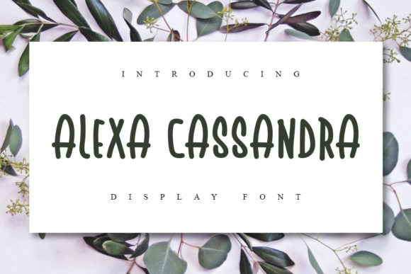 Alexa Cassandra: A Handwritten Font for Polished Branding