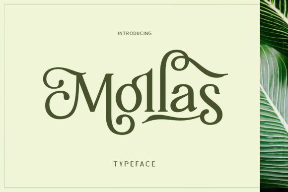 Mollas Font for Vintage Web Design
