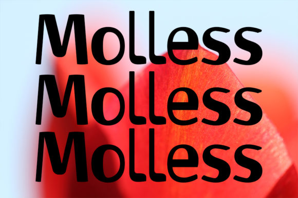 Molless Display Font for Bold Editorial Design