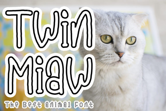 Twin Miaw Display Font for Web Design and Branding
